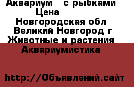 Аквариум c с рыбками › Цена ­ 4 500 - Новгородская обл., Великий Новгород г. Животные и растения » Аквариумистика   